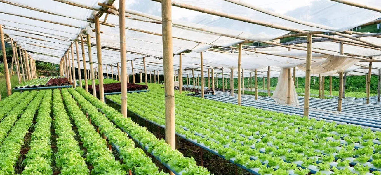 construction company